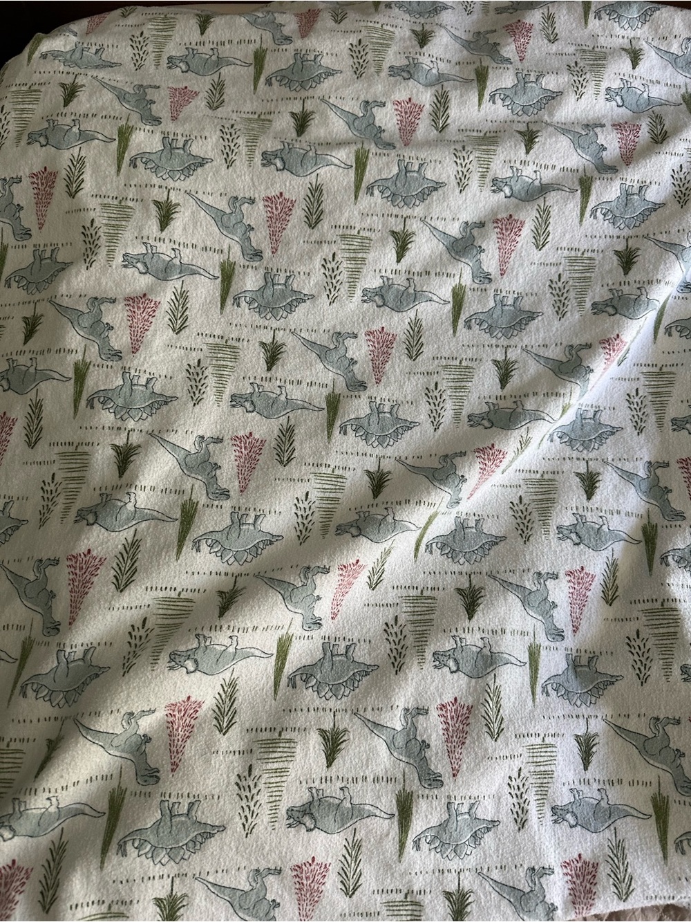 Soft White Dinosaur Print flannel Bedding